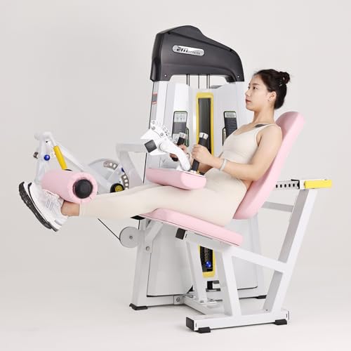 Image of Leg Extension & Leg Curl Machine with Single Weight Stack for Home and Commercial Gym