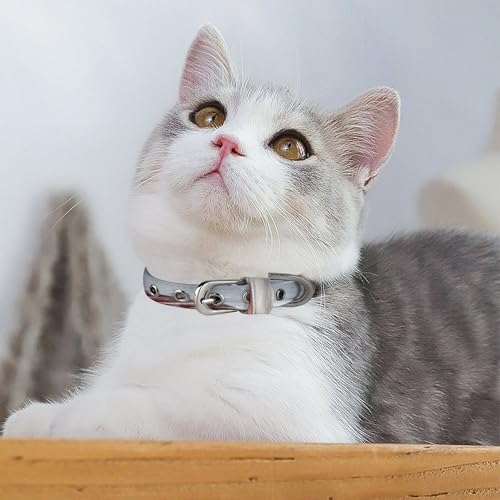 Collar de tela Oxford suave de alta resistencia para perros pequeños 6