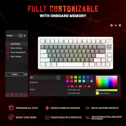 Image of EvoFox Ronin Mechanical Keyboards Wireless(BT+2.4GHz+Wired) | 9 Layer Gasket Structure, Outemu Red Switches, Per-Key RGB, 1000Hz, nKey Rollover, Volume Controller | Windows Software (White)