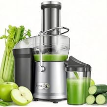 GDOR Powerful 1200W Juicer with Larger 3.2" Feed Chute, Titanium Enhanced Cutting System, Centrifugal Juice Extractor Maker with Heavy Duty Full Copper Motor, Dual Speeds, BPA-Free, Silver