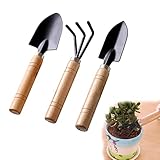 3 StüCke Gartenwerkzeug Mini GartengeräTe Schaufel Rechen Saftiger Holzgriff Leichter Schaufelschaufelrechen 3-Teiliges Set GartenzubehöR Mini-GartengeräT FüR Den Innenbereich Bonsai Starter Kit