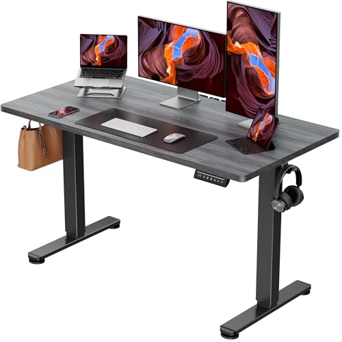 Image of ErGear Height Adjustable Electric Standing Desk, 48 x 24 Inches Sit Stand up Desk, Memory Computer Home Office Desk, Grey