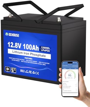 DCHOUSE LiFePO4 battery, Bluetooth, 12 V 100 Ah lithium battery, ...