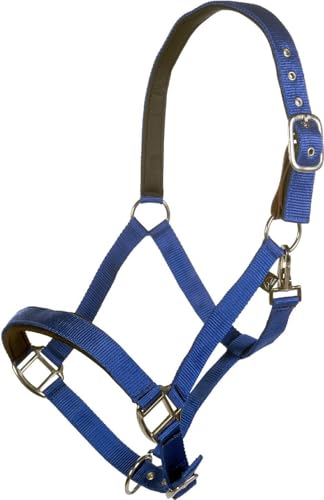 Licol Breakaway 2 HKM bleu royal pur-sang avec système anti-panique pour la sécurité
