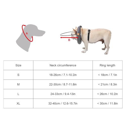 Dispositivo de Guia de Coleira de Cachorro Cego, Seguro para Construir Confiança, Anel Protetor Leve