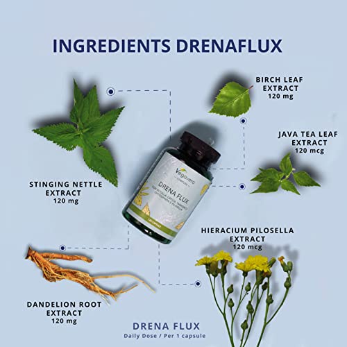 BRENNNESSEL Komplex Vegavero® | 100% PFLANZLICH | Mit Extrakten aus Birke, Löwenzahn & Brennnessel | Alternative zu… - Image 4