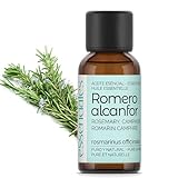 Essenciales - Aceite Esencial de Romero Alcanfor, 100% Puro, 30 ml | Aceite Esencial Rosmarinus Officinalis