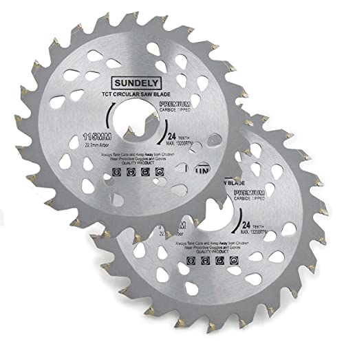 How long can a cactus go without water