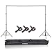Soporte de Fondo de Aleación de Aluminio, Soporte para telón de Fondo con Bolsa de Transporte de Abrazaderas de Fondo para Estudio de fotografía y vídeo (Los 2x2m)