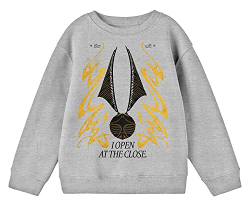 Bioworld Harry Potter I Open At The Close Youth Boys Athletic Heather Gray Long Sleeve Sweatshirt