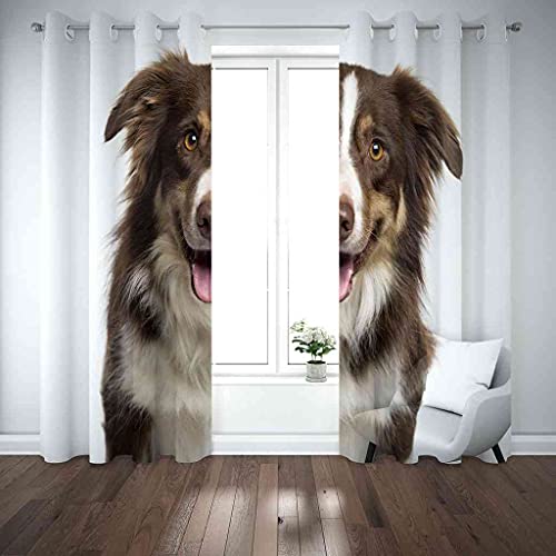 Rideau de chambre occultant isolant thermique modèle chien 3D