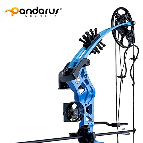 image for PANDARUS Compound Bow Set 15-45lbs for Pull Beginner and Teens Right H