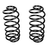 TFGCSG 2pcs Rear Pair Suspension Coil Spring for 2004-2012 for Chevy for Malibu, 2006-2010 for Pontiac G6, 2007-2009 for Saturn Aura replace No.CC81365