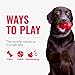 Kong Jumbler Ball - Interactive Toy for Dog & Puppy Playtime - Fetch Toy with Tennis Ball - Dog Supplies for Engaging Play - for Large/XL Dogs - Randomly Provided Color