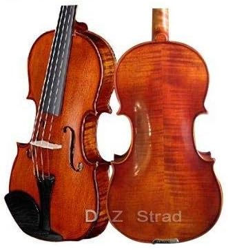 D Z Strad Viola Model 101 with Strings, Case, Bow, Shoulder Rest and Rosin (15") (15" - 101)