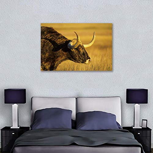 Affiche Vache des Highlands Toile pour Habiller un Mur Vide