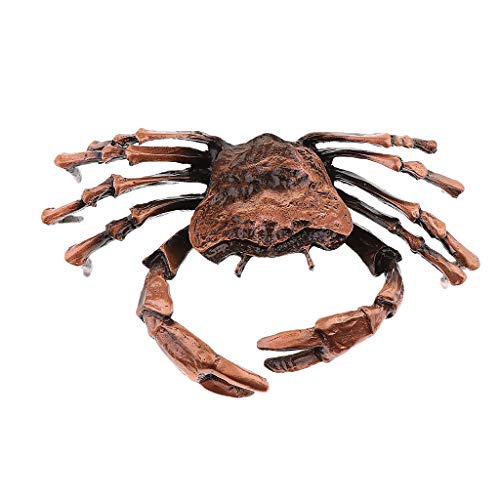 Chá chinês Serenable Zisha Lucky Toad, oferece chá de argila roxo tradicional feito à mão na sua ban