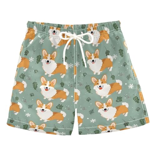ALAZA Hedgehog Leaf Cherry Fruit Boys Quick Dry Beach Board Shorts Kids Swim Trunks Bathing Suit Swimsuit 3T