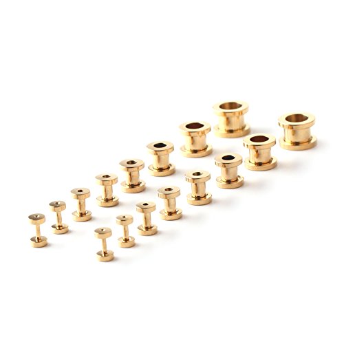 Ruifan 16pcs Surgical Steel Screw Tunnel Gauge Ear Expander Stretching Kit Plugs Piercing -8 Pairs 14g-00g (1.6mm-10mm) Gold Plated