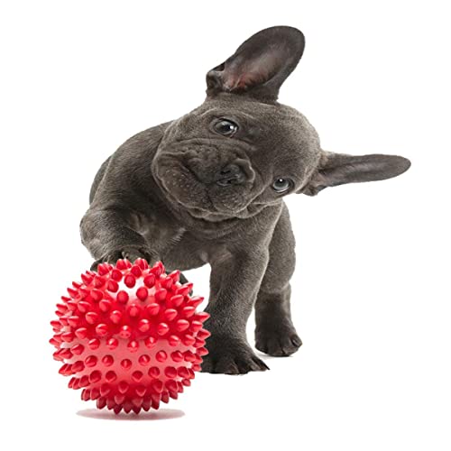 Image of Dog Rubber Chew Toy I Combo Spike I Dental Ball + Rainbow Sound Ball + 2 Knot Rope Ideal for Dogs and Puppies - Pack of 3 (Combo-C)