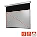 celexon Professional Plus Motor-Leinwand 135" | 300x169 cm 16:9 | elektrische 4K,Full-HD Präsentations-Leinwand für Ihren Heimkinobeamer | zur Decken-/ Wand-Montage | mit Fernbedienung