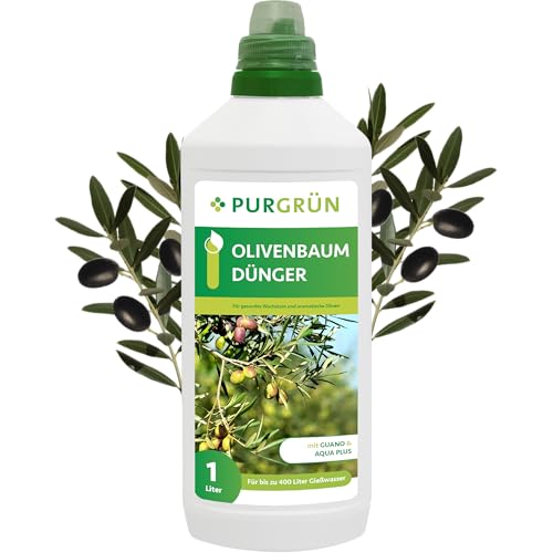 Purgrün® Olivenbaum-Dünger 1 Liter – Organisch-mineralische Rezeptur – Premium-Flüssigdünger mit Spurennährstoffen – NPK 8+8+6 – Für gesundes Wachstum & aromatische Oliven – Mit Guano & Aqua Plus Purgrün® Olivenbaum-Dünger 1 Liter – Organisch-mineralische Rezeptur – Premium-Flüssigdünger mit Spurennährstoffen – NPK 8+8+6 – Für gesundes Wachstum & aromatische Oliven – Mit Guano & Aqua Plus