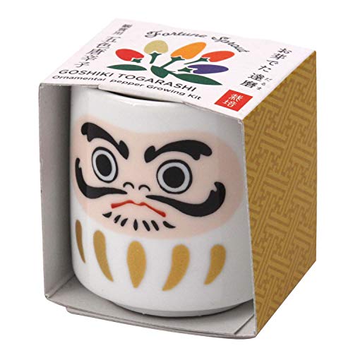 ハーブ栽培キット 簡単ミニ鉢