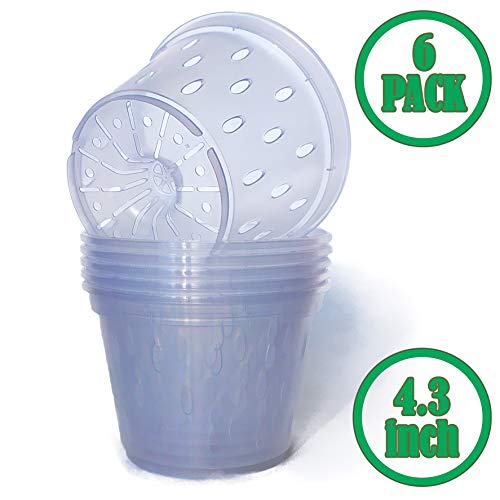 Clear Orchid pots with Holes Plastic Flower Planter 4.3 inch – 6 Pack