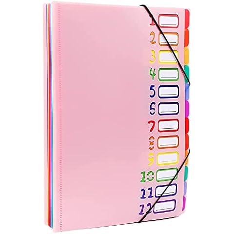 12 Pocket Expanding Project Sorter Heavy Duty Monthly Plastic Expandable Folder Organizer, A4 Letter Size, Multicolor(Pink 004) Cover