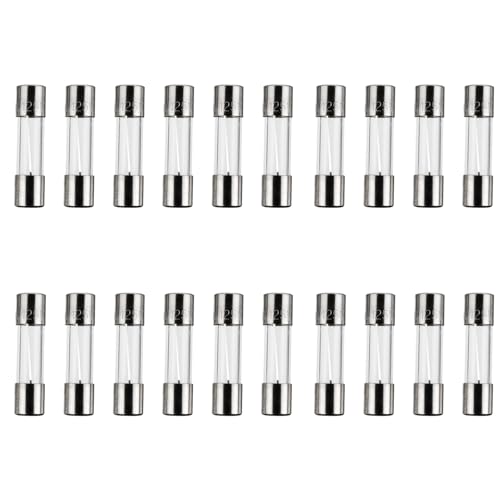 BLLNDX 20PCS Automotive Cigarette Lighter Car Logger Fuse 20A 250V Fast Acting Blown Glass Fuse 0.24 x 1.18 inch for Home Appliances Instruments Electronic Toys