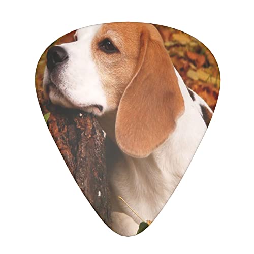 Lot de 12 médiators pour guitare électrique et acoustique Motif chien Beagle en automne - Les Beatles, Paul McCartney, John Lennon, RIngo Starr, George Harrison Lot de 12 médiators pour guitare électrique et acoustique Motif chien Beagle en automne