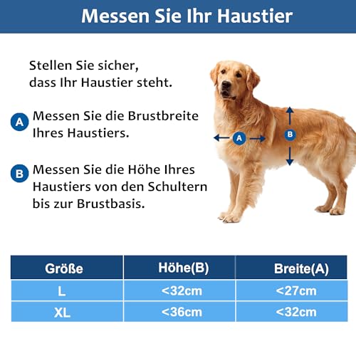 CEESC Große Hundeklappe mit weicher, transparenter Magnetklappe und einrastbarer Verschlussplatte, Premium-Haustür aus PVC-Kunststoff für große Hunde (XL, Weiß)