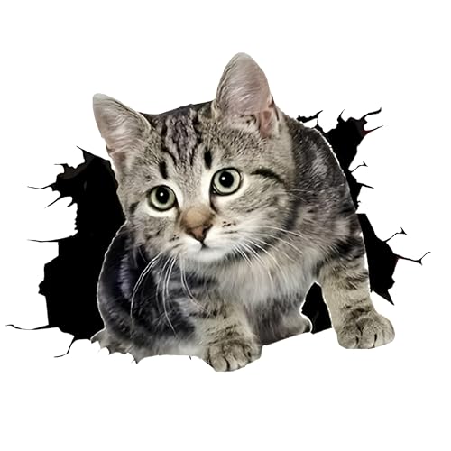 Cute 3D Realistic Kitten Probe Car Decals, 5.5-Inch, 2-Pack – Bumper Stickers for Cars, Motorcycles, SUVs, Trailers, Windows, Scratch Resistant Decals, Body Decoration Stickers