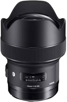 Amazon.com : 14mm F1.8 DG HSM Art for L-Mount Black : Electronics