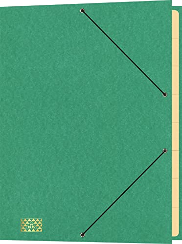 RNKVERLAG 4616-5 - Konferenz- und Ordnungsmappe mit Gummizug, Maße (BxH) 245 x 340 mm, bis DIN A4, 9 Fächer, grün, 1 Stück