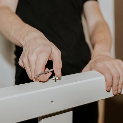 280 Stk M6 Schrauben Set, Linsenkopf Innensechskantschrauben Muttern Set, Linsenkopfschrauben mit Muttern Set, Maschinenschrauben Sortiment, Gewindeschrauben und Muttern mit Unterlegscheiben Set