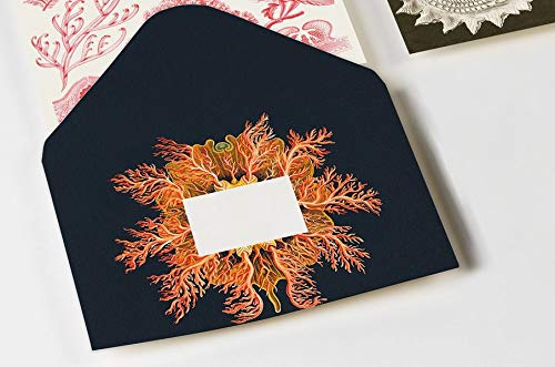 Maritime Art Forms: Envelope Set (C6 format)