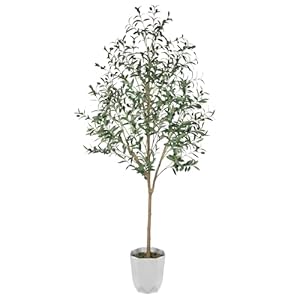CQURE Faux Olive Tree 6ft, Fake Tall Olive Tree Artificial Plants with White Planter and Olive Branches Fruit for Home Bedroom Kitchen Room Decor Indoor CQURE Faux Olive Tree 6ft Fake Tall Olive Tree Artificial Plants with White Planter and Olive Branches Fruit for Home Bedroom Kitchen Room Decor Indoor