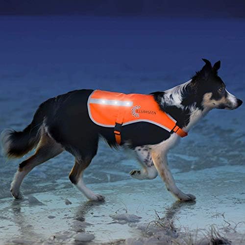 Illumiseen LED Dog Hunting Vest | Orange Safety Jacket with Reflective Strips & USB Rechargeable LED Lights | Increase Dog’s Visibility When Walking, Running, Training Outdoors (X-Large, Orange)