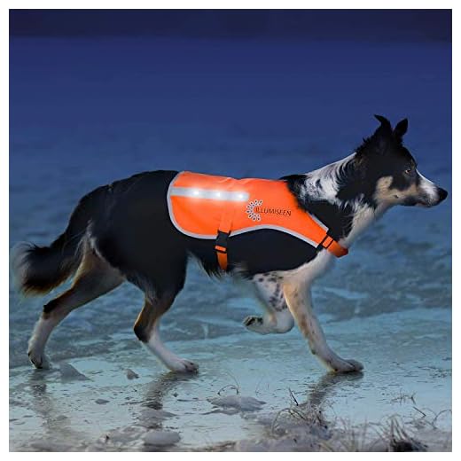 Illumiseen LED Dog Vest | Orange Safety Jacket with Reflective Strips & USB Rechargeable LED Lights | Increase Dog’s Visibility When Walking, Running, Training Outdoors (Medium, Orange)