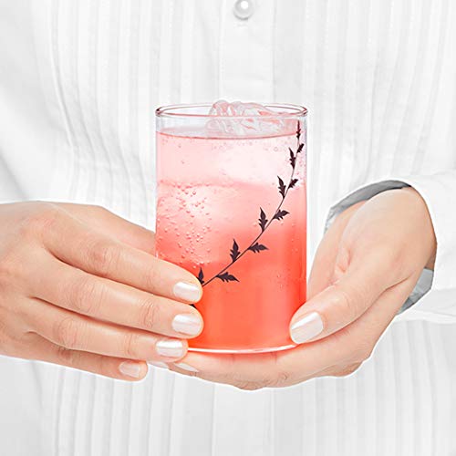 Image of Borosil Vision 6pc Transparent Drinking Glass | Borosilicate Glass Tumblers for Water, Cold Drinks, Juice | Flame Proof, Microwave & Dishwasher Safe | for Daily use & Gifting (Black Krip, 295 ml)