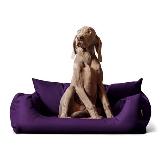 DEEN Kuschelig Katzenbett Haustier Schlafplatz Flauschig Rund Katzenbettchen Waschbar Hundebett Welpen Kissen Bezug Hundematratze Warm Hundekorb für Katzen Hunde Hündlin, Lila, 60cm 2 tierlando NEMO Hundebett Hundesofa S M L Hundekorb Katzenbett 65 80 100cm Größe: N2 | Farbe: 09 Lila
