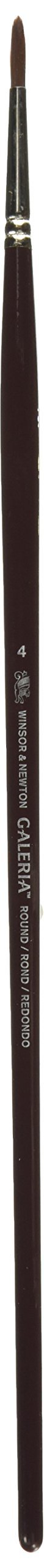 WN Galleria L.H. Round Brush 4, ECFGLHR4 Transparent