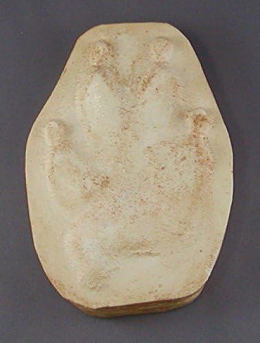 Wolf Track Replica