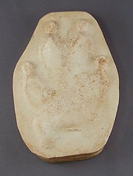 Wolf Track Replica