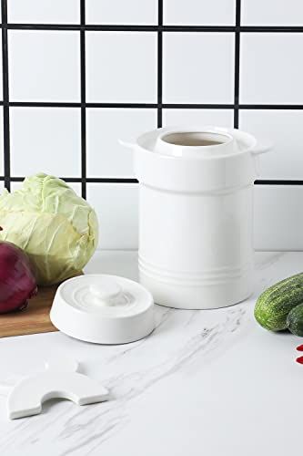 Sljmr Ceramic Fermentation Crock Jar 2 Liter/0.5 Gallon With Stone Weights And Lid,Easy To Clean (White) #TOP3