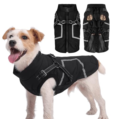 IUOUTG Ȍ̂߂̒gR[gōꂽn[lX̓~̌̃R[gA`[L[̂߂̃Wbp[є˃XgbvtĂ₽V󔽎˓IȌ̃xXg̐̃WPbg