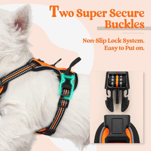 Image of rabbitgoo Dog Harness No Pull with 2 Leash Clips, Adjustable Soft Padded, Reflective Oxford No Choke Pet Vest with Easy Control Handle for Puppy, Orange,XS