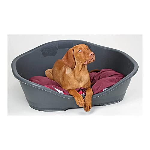 Beeztees 700301 Sleeper 2 Hundekorb, 55 cm, anthrazit