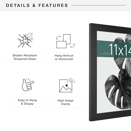 MCS Studio Gallery 11x14 Picture Frame Black Woodgrain, Rectangle Photo Frame for Photos, Posters & Art Prints (2-Pack)
